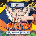Naruto_ROANfront
